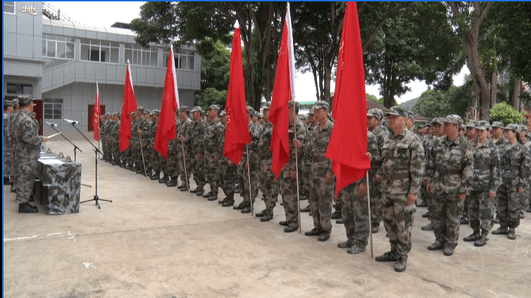 縣武裝部改革最新消息，邁向現(xiàn)代化軍事建設(shè)的步伐堅定前行