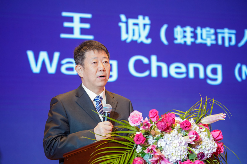 蚌埠市王誠(chéng)的最新消息，一位城市領(lǐng)袖的崛起與貢獻(xiàn)