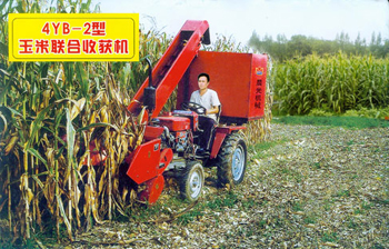 最新小型玉米收割機(jī)視頻展示，科技助力農(nóng)業(yè)革新