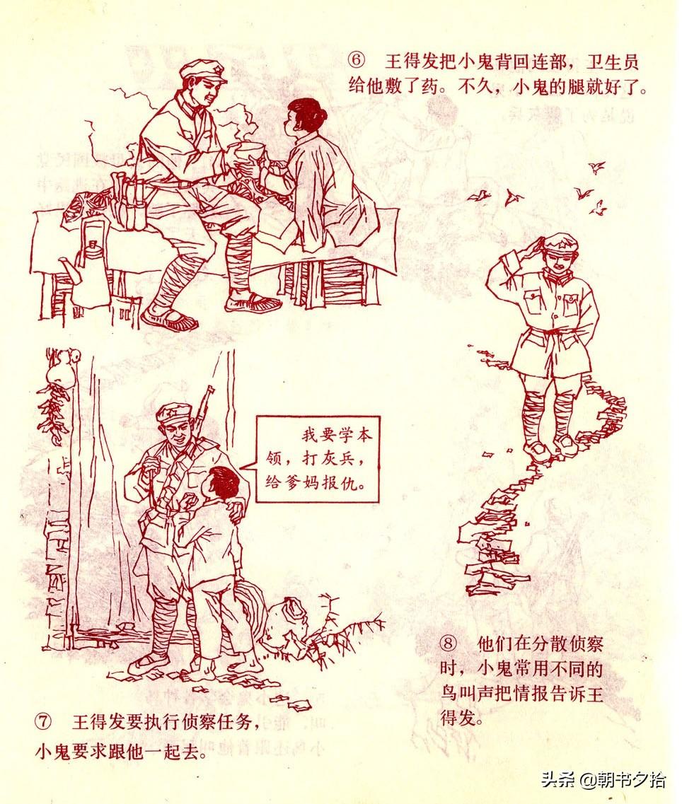 火云鳥app最新版本，探索其新功能與優(yōu)勢