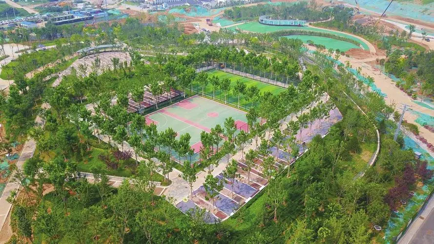 李村中央公園最新消息，一座城市綠肺的嶄新面貌