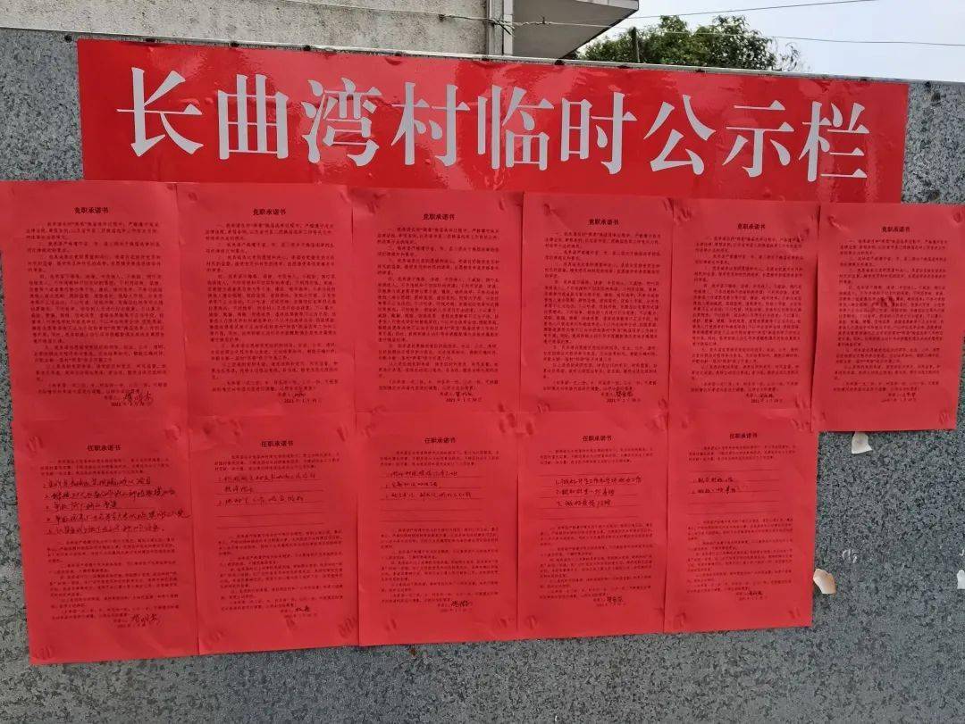 莘縣鄉(xiāng)鎮(zhèn)換屆最新消息，新氣象、新作為、新征程