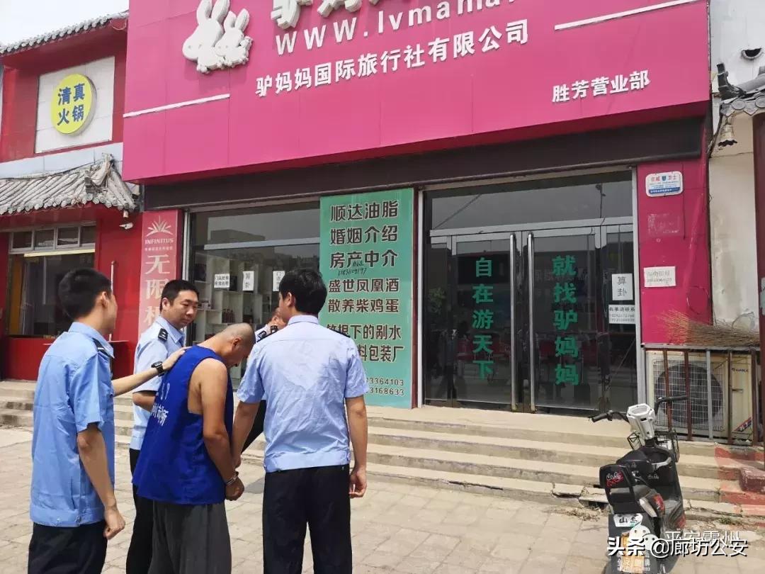 勝芳房屋出租最新消息全面解析