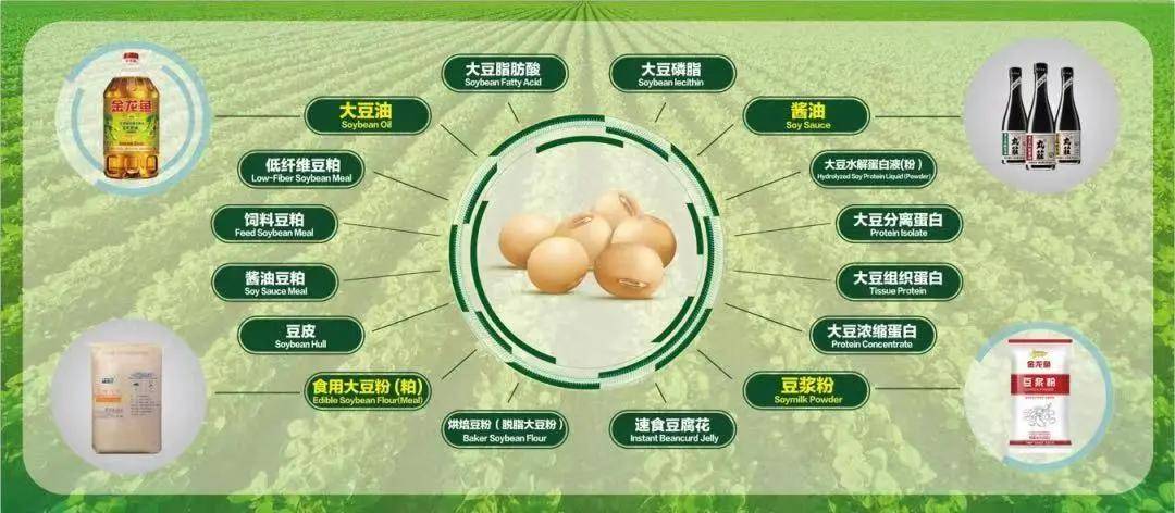 中山三鄉(xiāng)最新二手房市場(chǎng)深度解析