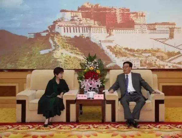 洪秀柱黨主席最新消息，展現(xiàn)新氣象，引領(lǐng)新征程