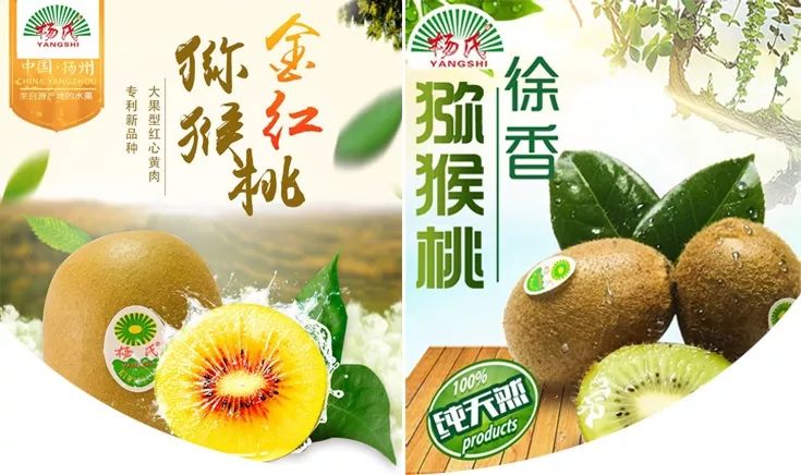 獼猴桃新品種金紅50，探索最新特色與潛力