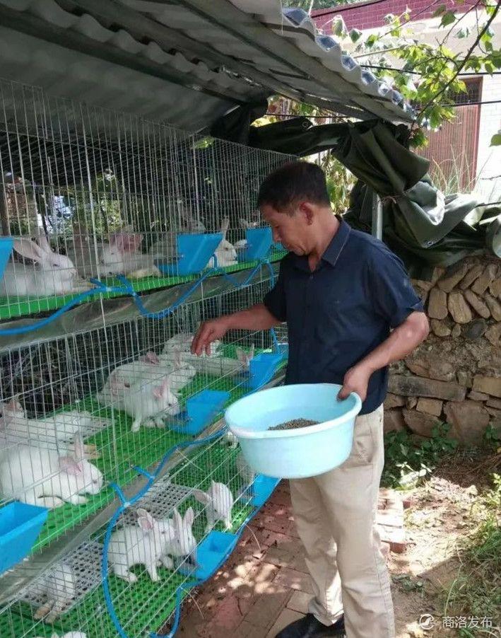 最新兔場招聘飼養(yǎng)員啟事
