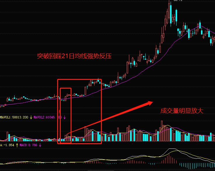 新三板最新消息新聞，市場趨勢與前景展望