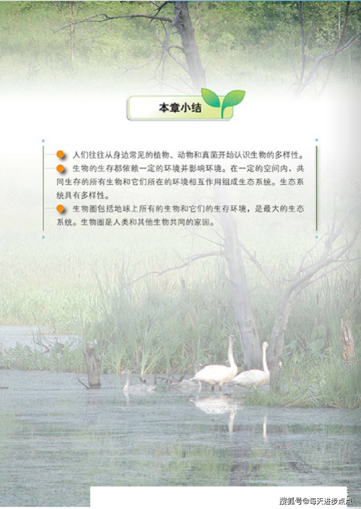 沐清竹與阮翰宇，最新章節(jié)探秘