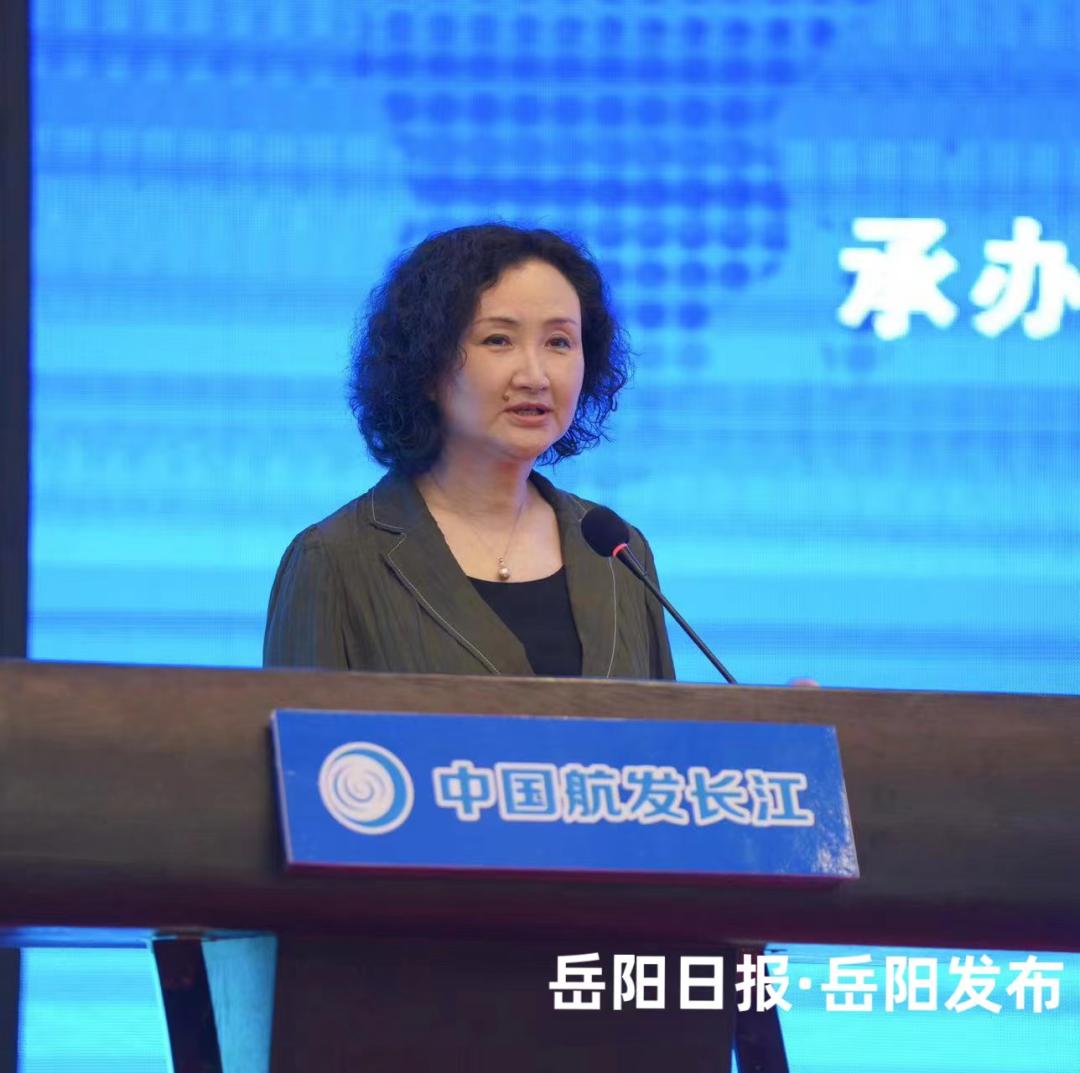 岳陽市區(qū)最新城市規(guī)劃，塑造未來城市的宏偉藍圖
