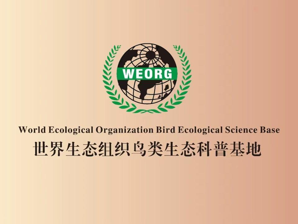 力達士潤滑油最新消息，引領(lǐng)行業(yè)變革，打造卓越品質(zhì)