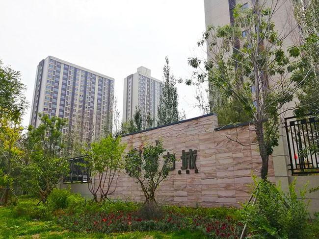 創(chuàng)想星域 第6頁
