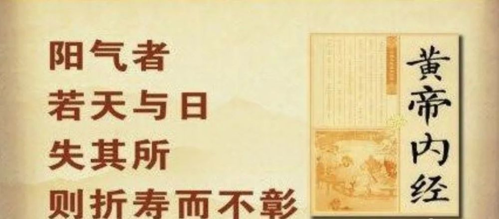 孟肺遠(yuǎn)白童惜最新章節(jié)，探尋未知世界的奧秘與情感交織