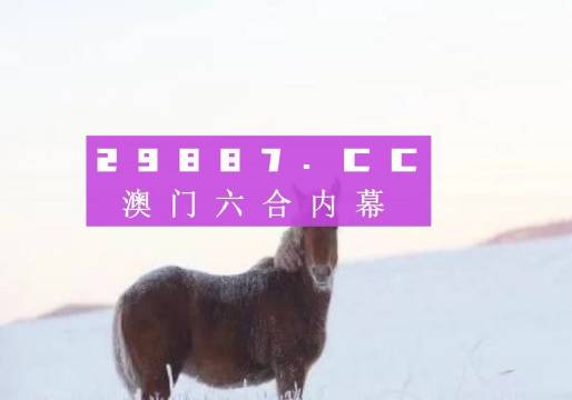 澳門一肖一碼一必中一肖同舟前進(jìn)，探索命運(yùn)之碼的神秘之旅