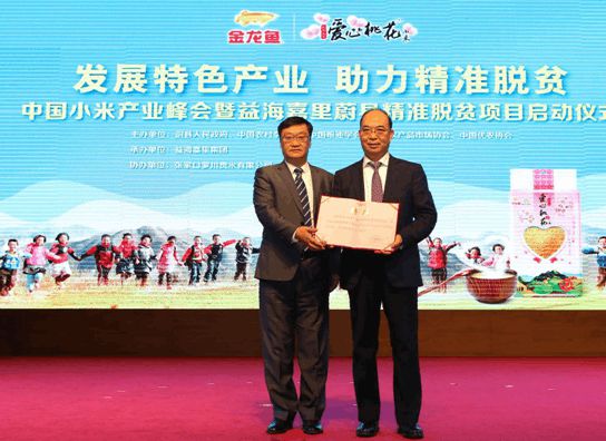 探索未來，2024新奧精準資料免費大全078期