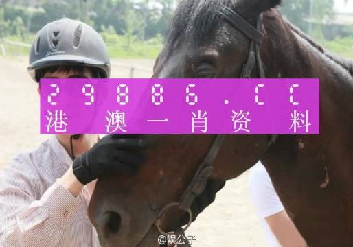 澳門一肖一碼一必開一肖，揭示背后的真相與警示