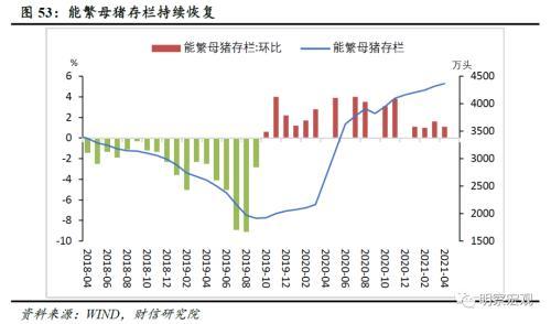 北京油價調(diào)整最新消息，市場趨勢、影響因素及未來展望