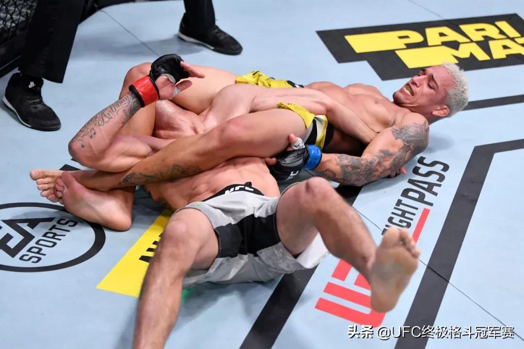UFC最新排名，強者的榮耀與榮耀之爭