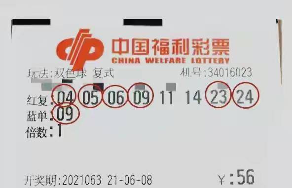 揭秘最新開獎結(jié)果，一場關(guān)于數(shù)字246的幸運之旅