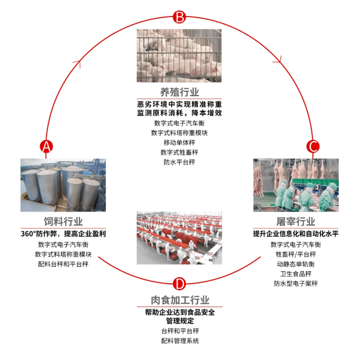 霓裳羽衣 第2頁(yè)