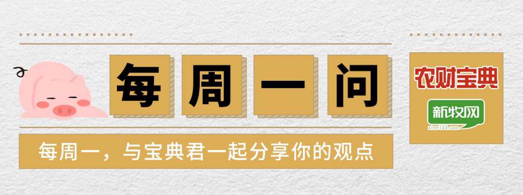 最新豬價(jià)動態(tài)分析