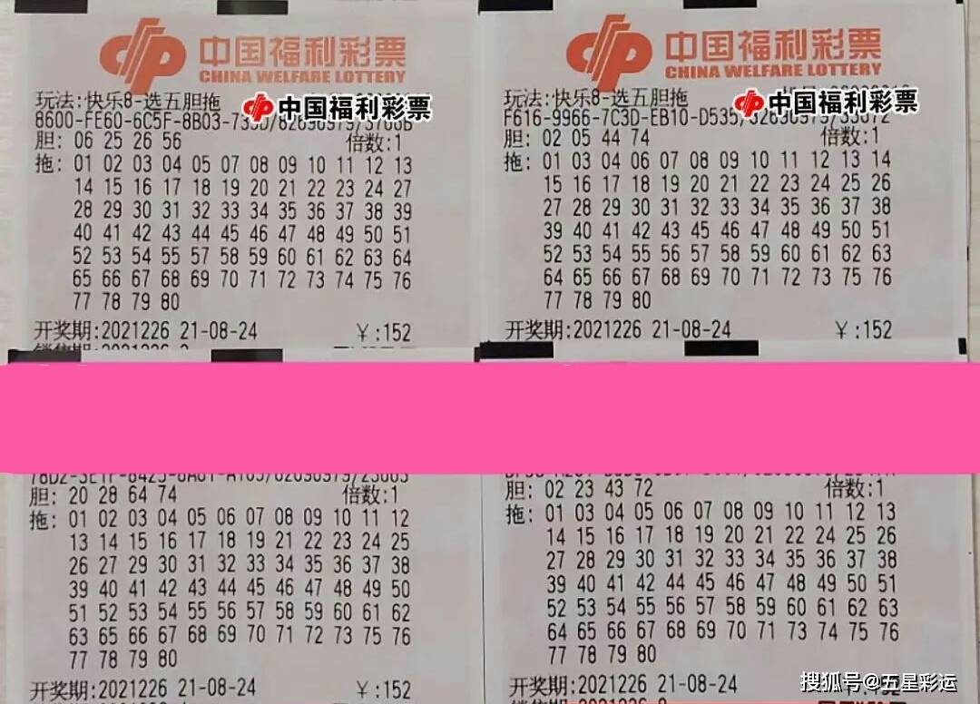最新彩民樂(lè)陽(yáng)光探碼圖文版，揭秘彩票樂(lè)趣與陽(yáng)光操作