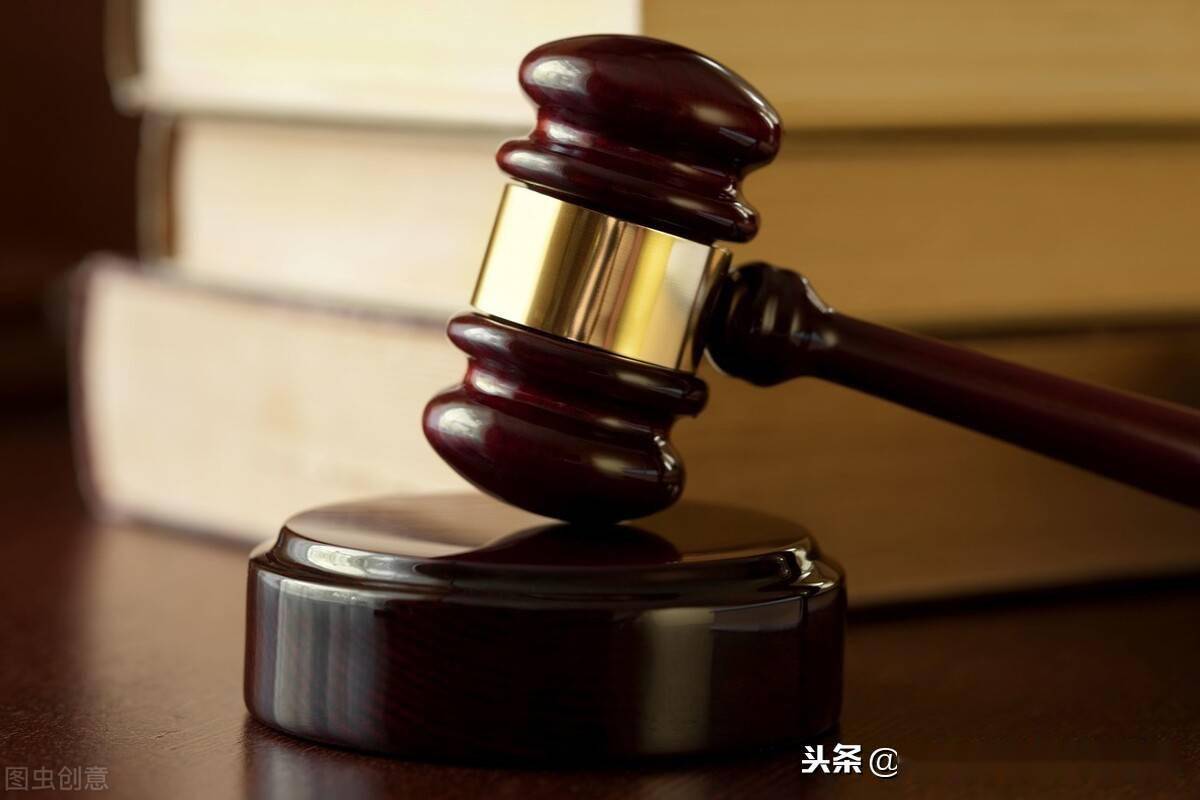 土地管理法最新，變革與未來(lái)展望