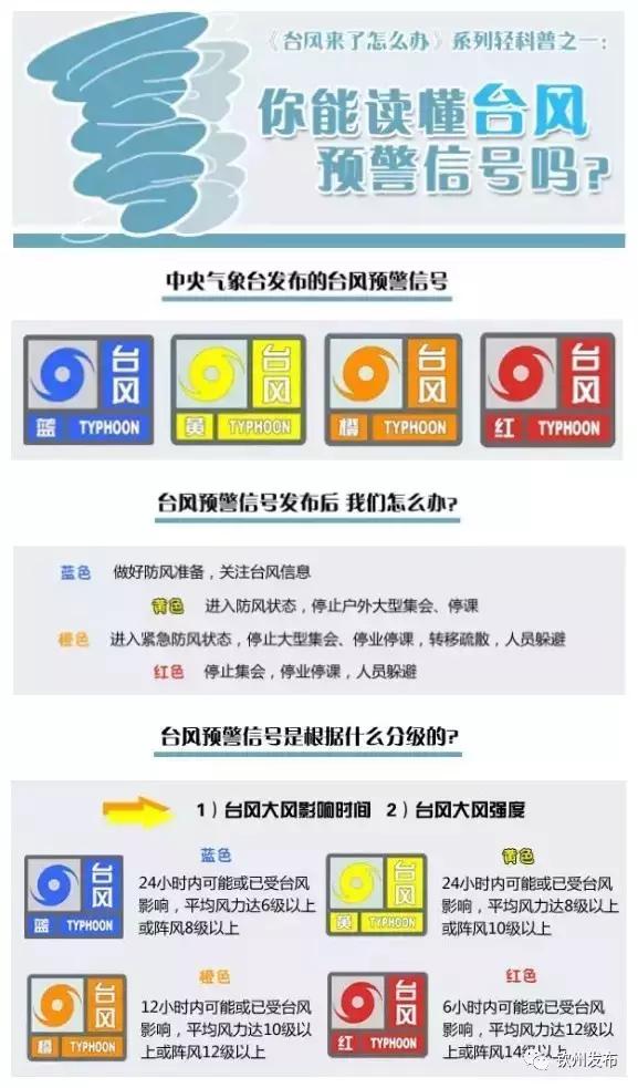 欽州臺風(fēng)最新消息，臺風(fēng)動態(tài)與應(yīng)對措施