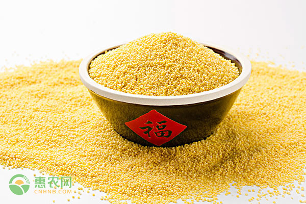 生活印象 第2頁