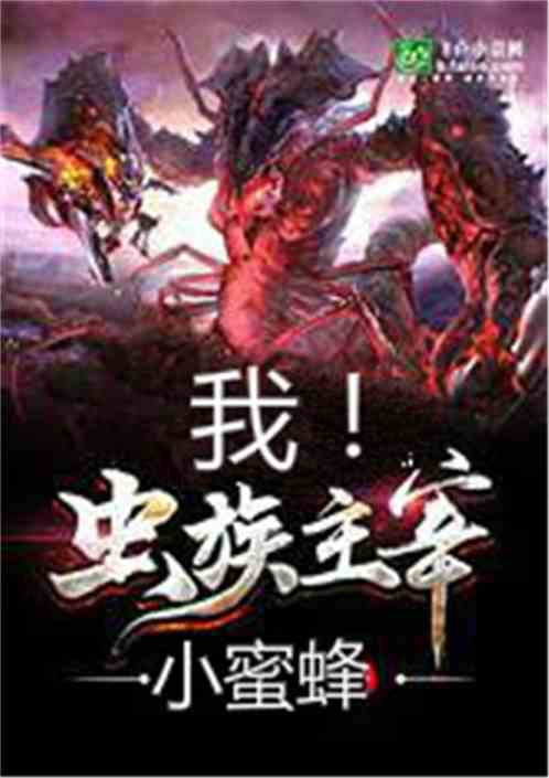 武神主宰小說(shuō)最新章節(jié)，熱血與榮耀的交織