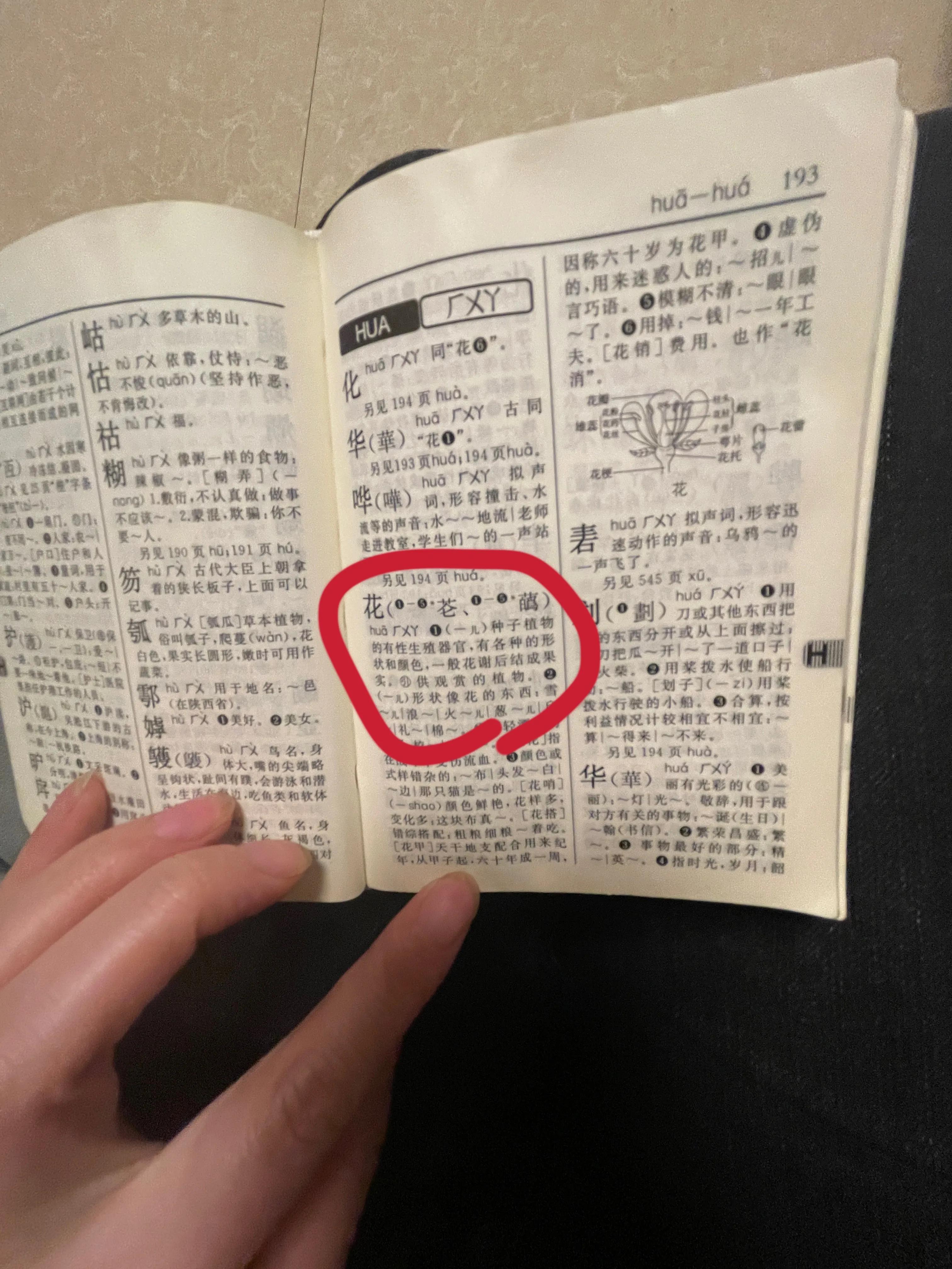 新華字典最新版本，全面解讀與應用體驗