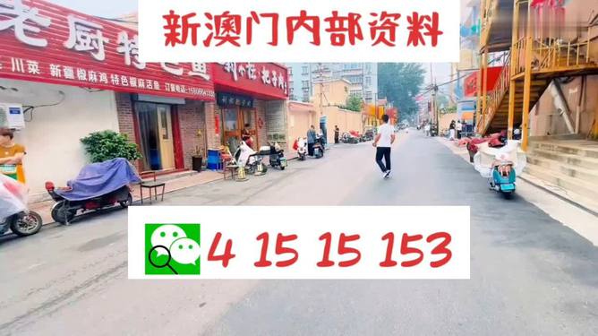 澳門(mén)天天開(kāi)好彩大全體育，警惕背后的風(fēng)險(xiǎn)與挑戰(zhàn)