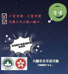最準一肖一碼一一香港澳王一王，揭秘彩票背后的秘密與策略