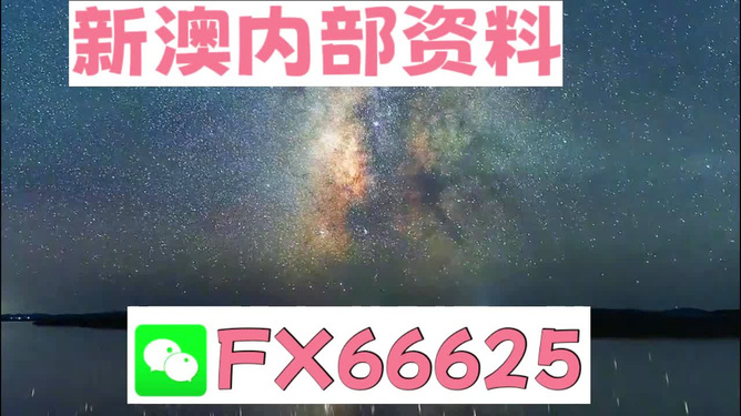 新澳2024天天正版資料大全，探索與解讀