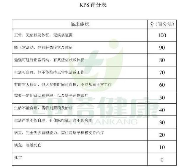 澳門新開獎結果2024年開獎記錄，探索與期待