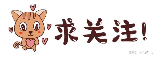 探索管家婆最準(zhǔn)一碼一肖，揭秘背后的秘密與真相